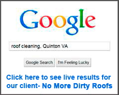 Google search for roof cleaning in Quinton, VA